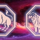 Male Taurus-Tiger: characterization and compatibility