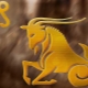 Compatibility of Capricorn with other zodiac signs
