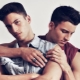 Characteristics of a male Gemini, born in the year of the Rooster