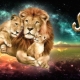 Characteristics of a man Leo born in the year of the Bull