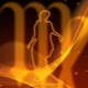 Characteristics of a Virgo woman born in the year of the Rabbit