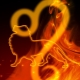 Characteristics of a female Leo, born in the year of the Monkey