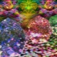 Stone for Sagittarius: a review of options and selection criteria