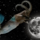 Male Capricorn born in the year of the Dragon: characteristic, compatibility in love