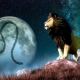 Male Leo in love and relationships