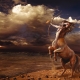 Men Sagittarius: characterization of qualities in marriage and love, choice of profession and talismans