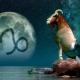 Compatibility of Capricorn with another representative of such a mark and the prospect of a marital union