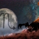 Scorpio compatibility with Scorpio in various areas of life