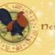 Nữ ung thư-Dậu: Đặc điểm và khả năng tương thích với các dấu hiệu khác