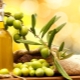 Benefits, Harm and Tips for Using Jojoba Oil for Face