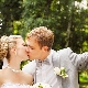 Pigeons at the wedding - all about the features of the tradition