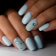 Crystal baby for nails: features and options for creating a manicure design