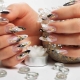 Mga ideya para sa disenyo ng French manicure sa matalim na mga kuko