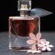 How to make perfume from essential oils at home?
