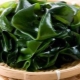 ห่อ Laminaria: ประโยชน์อันตรายและกฎ