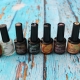 The palette and features of Ingarden gel polishes