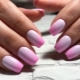 Kuko gradient shellac