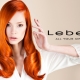 Lebel hair dye: mga uri at palette
