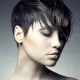 Pixie bob haircut