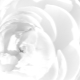 Màu trắng trong tâm lý học: nó có ý nghĩa gì và tượng trưng cho điều gì?