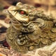 Phong thủy tiền cóc