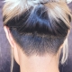 Babae haircuts na may ahit nape: ano ang mga at kung paano pumili?