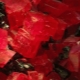 Rhodochrosite: paglalarawan, mga katangian at uri