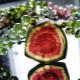 Watermelon tourmaline: paglalarawan ng bato, mga katangian at paggamit nito