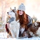 Red Husky: สีและเนื้อหา