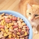 การเปรียบเทียบอาหารแมว: คลาส, องค์ประกอบ, ยี่ห้อ