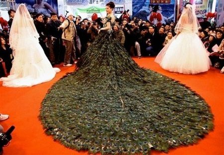 Chic Peacock Feather Dress