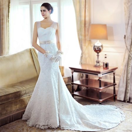 Accessories for wedding dress case with train
