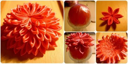 สร้างดอกคาซานชินูนออกมา